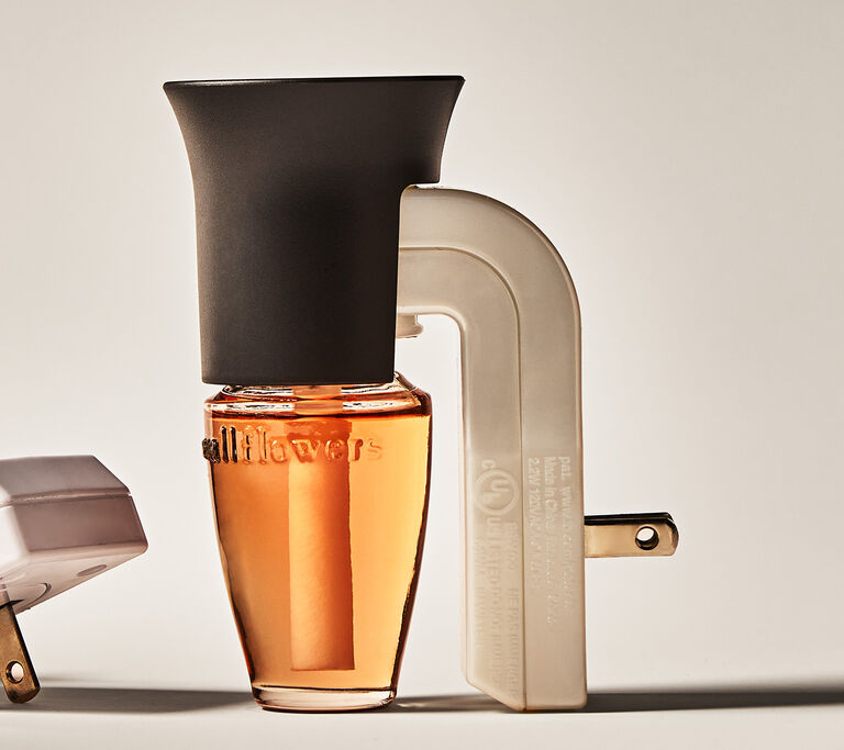 Wallflowers Sale