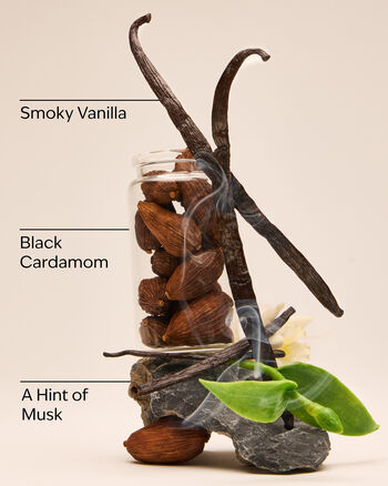 Noir PocketBac Hand Sanitizer PocketBac Hand Sanitizer