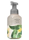 Sun-Washed Citrus Foaming Hand Soap image number null