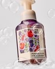 Pomegranate & Blackberry Gentle & Clean Foaming Hand Soap image number null