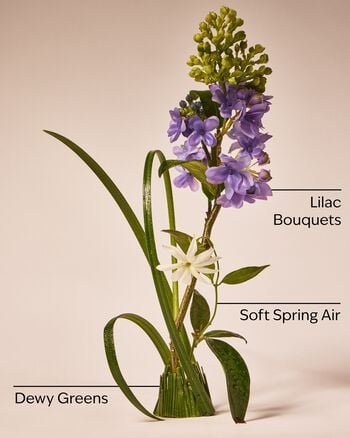 Fresh Cut Lilacs Gentle & Clean Foaming Hand Soap Gentle & Clean Foaming Hand Soap