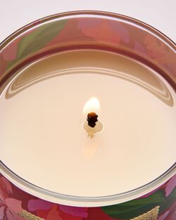 Viva Brazil Single Wick Candle image number null