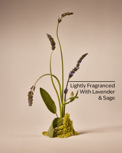 Ultimate Beard & Face Wash image number null