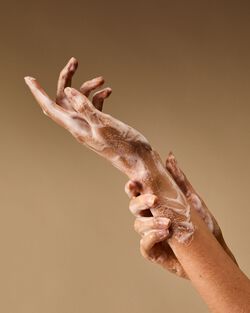 Mahogany Vanilla Cleansing Gel Hand Soap image number null