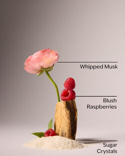 Sweetest Song Fine Fragrance Mist