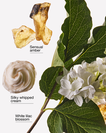 Milk & Musk Wallflowers Fragrance Refill Wallflowers Fragrance Refill