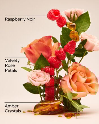 Into The Night Travel Size Ultimate Hydration Body Cream Travel Size Ultimate Hydration Body Cream