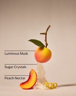 Zesty Peach Travel Size Fine Fragrance Mist image number null
