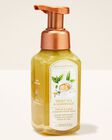 Sweet Tea & Lemonade Gentle & Clean Foaming Hand Soap image number null