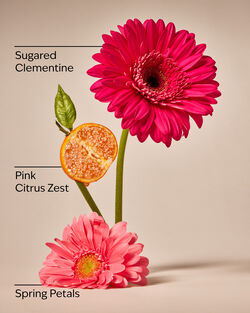 Pink Clementine Cleansing Gel Hand Soap image number null