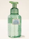 Chilled Lemon Frost Gentle & Clean Foaming Hand Soap image number null