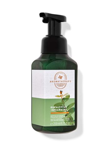 Eucalyptus Spearmint Gentle & Clean Foaming Hand Soap Gentle & Clean Foaming Hand Soap
