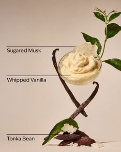 Wild Vanilla Travel Size Fine Fragrance Mist image number null