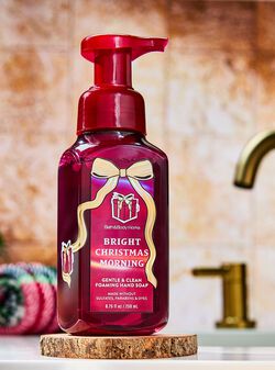 Bright Christmas Morning Gentle & Clean Foaming Hand Soap image number null