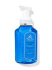 Sea Island Shore Foaming Hand Soap image number null