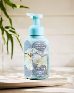 Morning Rainstorm Gentle & Clean Foaming Hand Soap image number null