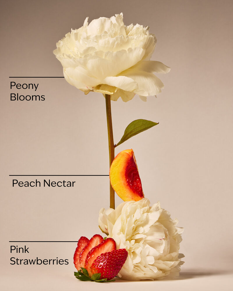 Gingham Gorgeous Ultimate Hydration Body Cream Ultimate Hydration Body Cream