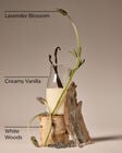 Lavender Vanilla Body and Massage Oil image number null