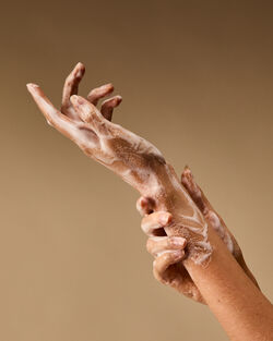 Champagne Toast Gentle & Clean Foaming Hand Soap image number null