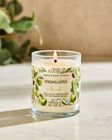Spring Apple Single Wick Candle image number null