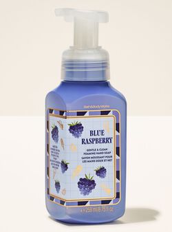 Blue Raspberry Gentle & Clean Foaming Hand Soap image number null