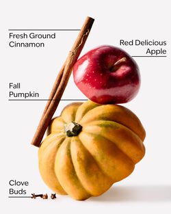 Pumpkin Apple Hand Sanitizer Spray image number null