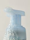 Fresh Sparkling Snow Gentle & Clean Foaming Hand Soap image number null