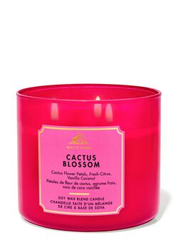 Cactus Blossom 3-Wick Candle