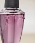 Lavender Vanilla Wallflowers Fragrance Refill image number null