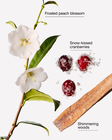 Snowy Peach Berry Gentle & Clean Foaming Hand Soap image number null