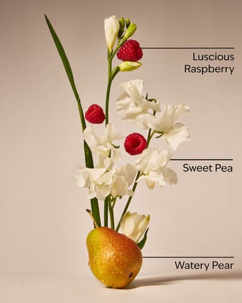 Sweet Pea Car Fragrance Refill Car Fragrance Refill