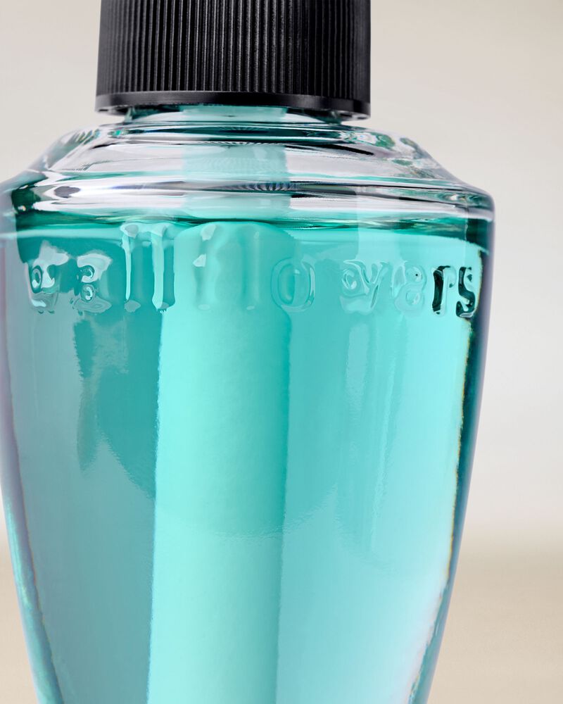 Sea Salt & Driftwood Wallflowers Fragrance Refill Wallflowers Fragrance Refill