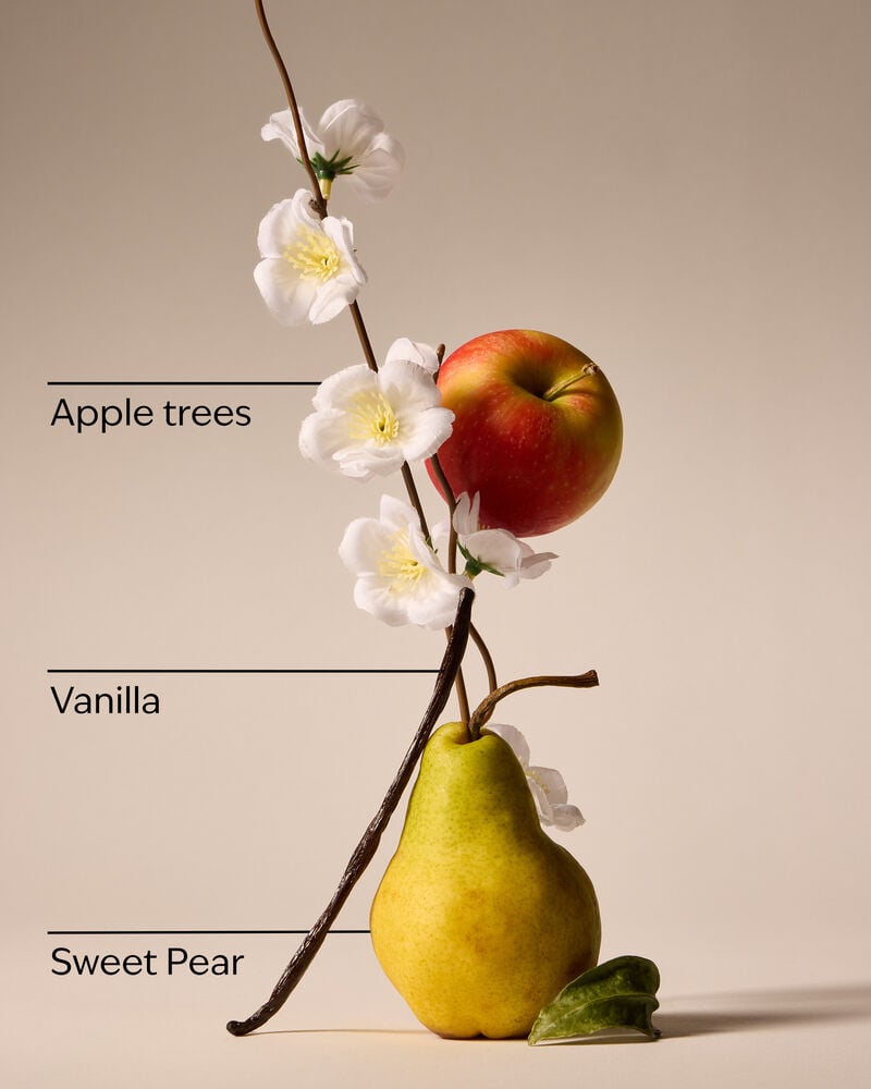 Spring Apple Car Fragrance Refill Car Fragrance Refill