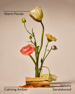 Warm Summer Evening 3-Wick Candle image number null