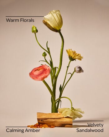 Warm Summer Evening 3-Wick Candle 3-Wick Candle