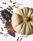 Pumpkin Bonfire 3-Wick Candle image number null