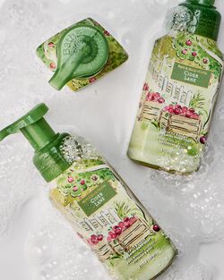 Cider Lane Gentle & Clean Foaming Hand Soap image number null