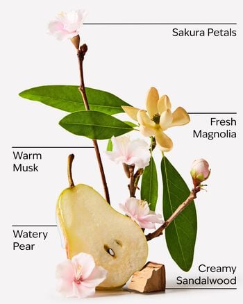 Forever Cherry Blossom Body Wash Body Wash