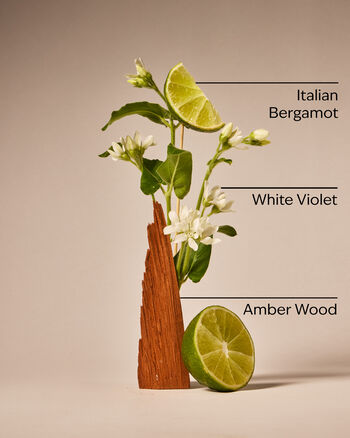 Sunwashed Santal 3-Wick Candle 3-Wick Candle