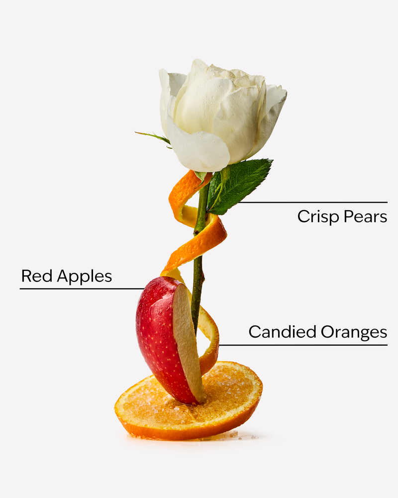 Winter Candy Apple Body Butter Body Butter