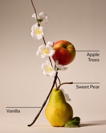 Spring Apple Car Fragrance Refill Car Fragrance Refill