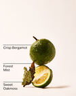 A Quiet Escape Wallflowers Fragrance Refill image number null