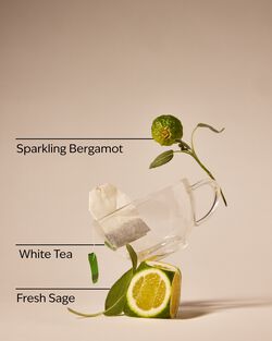 White Tea & Sage Cleansing Gel Hand Soap image number null