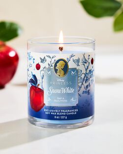 Snow White Single Wick Candle image number null