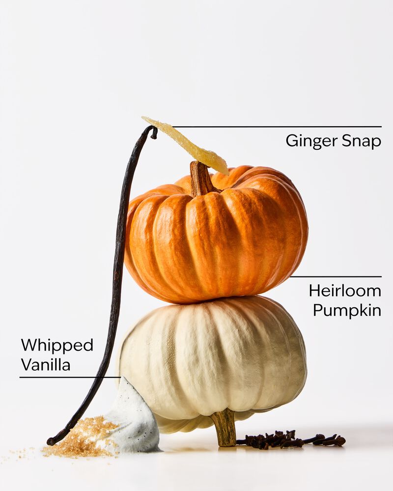 Sweet Cinnamon Pumpkin Cleansing Gel Hand Soap Cleansing Gel Hand Soap