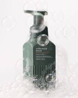 Cedarwood Forest Gentle & Clean Foaming Hand Soap image number null