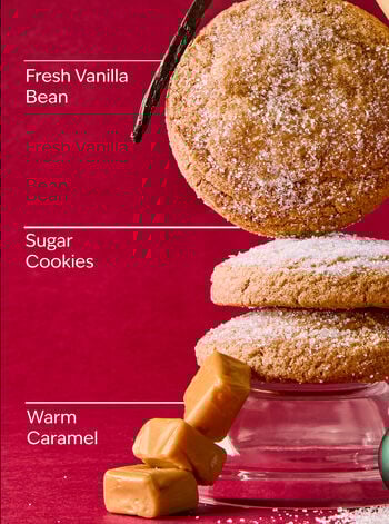 Vanilla Bean Noel Travel Size Fine Fragrance Mist Travel Size Fine Fragrance Mist