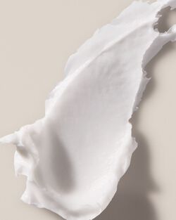 Waikiki Beach Coconut Body Butter image number null