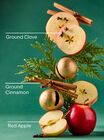 Tis the Season Cleansing Gel Hand Soap image number null