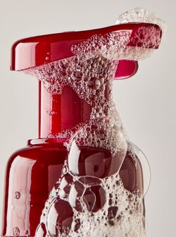 Bright Christmas Morning Gentle & Clean Foaming Hand Soap image number null